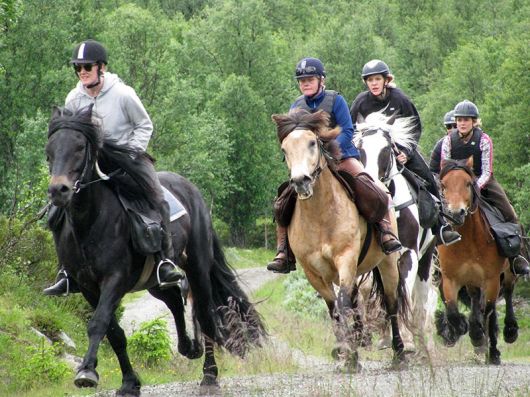 Frihet på hesteryggen Frihet på hesteryggen